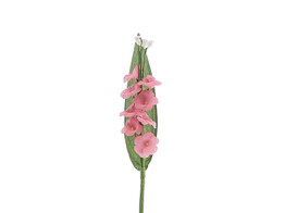 Muguet
