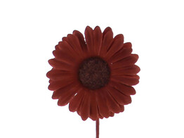 Germini PM