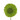Germini SM green