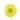 Germini SM lemon