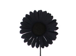 Germini PM