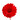 Germini GM rouge claire
