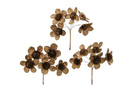 Oxtongue Flower gold