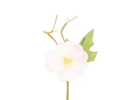 Fleur de printemps  Springtime  1 fleur rose clair