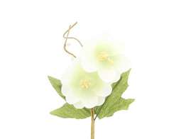 Fleur de printemps  Springtime  2 fleurs vert clair