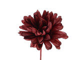 Dahlia SM glitter burgundy