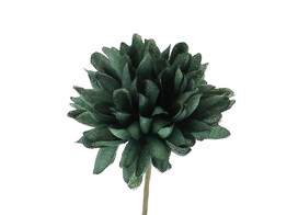 Dahlia PM brillant