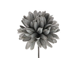 Dahlia PM brillant