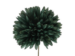 Dahlia GM brillant