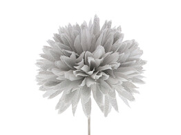 Dahlia GM brillant