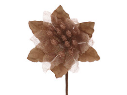 Poinsettia KM