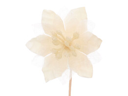 Poinsettia SM