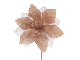 Poinsettia SM
