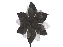 Poinsettia KM