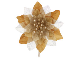 Poinsettia LM