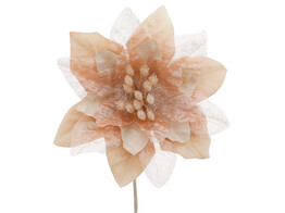 Poinsettia LM