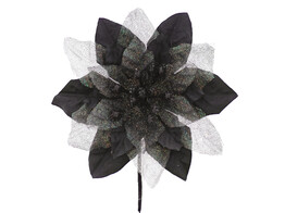 Poinsettia GM