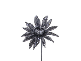 Aster glitter
