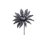 br/ Aster glitzergrau