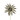 Aster Glitzer wei gold