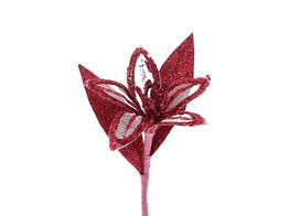 Clematite etincellement medium fuchsia
