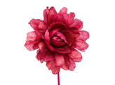Camelia shiny LM ardoise