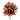 Camelia shiny LM brown