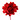 Camelia shiny LM red