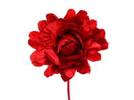 Camelia shiny LM