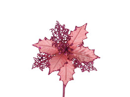 Weihnachtsstern mittel fuchsiafarben