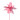 Etoile de Noel deco GM fuchsia