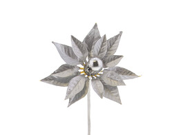 Aster silver