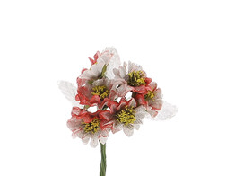 OTL Gazania glitter rood-zilver