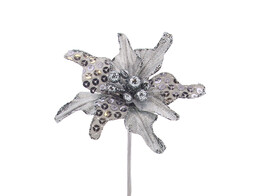 Christmas star spangles