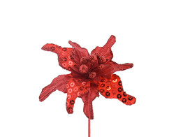 Christmas star spangles