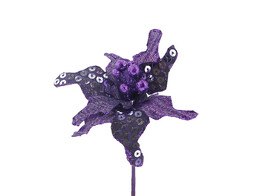 Christmas star spangles