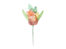 OTL Orchidee 1 bloem groen/bordeaux/goud