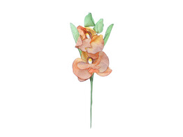 OTL Orchidee 2 bloemen bordeaux/cognac/rood
