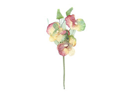 OTL Orchidee 3 bloemen bordeaux/cognac/rood