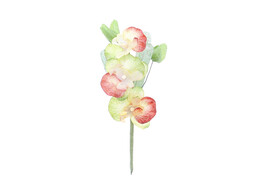 OTL Orchidee 3 bloemen rood/goud/groen