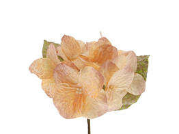 OTL Hortensia 2 couleurs vieux rose