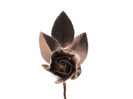Rose Shiny mit 3 Blattern