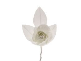 Rose Shiny avec 3 feuilles