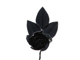 Rose Shiny mit 3 Blattern