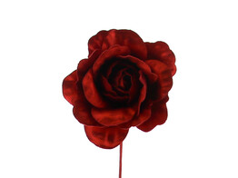 Rose Shiny