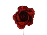 Rose  Shiny  red