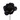 Rose  Shiny  black