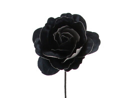 Rose Shiny