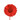 Germini  Shiny  KM rood
