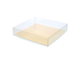PVC doos met deksel 15 x 15 x 3 cm en goudkarton   Z119